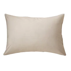 Allerease Organic Pillow
