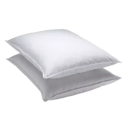Dream On 2-pack Goose Feather Pillows