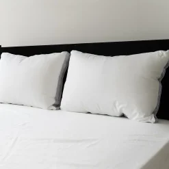 Sealy Elite 2-pack Extra Firm Pillow -travel pillow shop 3380678 ALT3