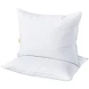 Dream On 2-pack Triple Chamber White Goose Down & Feather Pillow -travel pillow shop 3807048