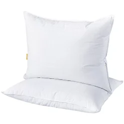 Dream On 2-pack Triple Chamber White Goose Down & Feather Pillow