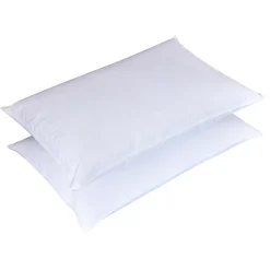 Dream On 2-pack Feather Pillow