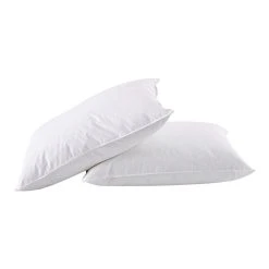 Dream On 2-pack White Goose Feather & Down Pillow