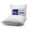 The Big One® Hypoallergenic Euro Pillow -travel pillow shop 3946219