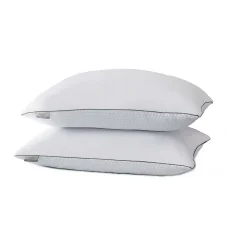 Kathy Ireland 2-pack White Goose Feather Pillows