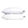 Down Home Nealry Mcirogel 2-pack Jumbo Pillow Set -travel pillow shop 4544919