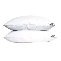 Down Home Nealry Mcirogel 2-pack Jumbo Pillow Set