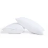 Truly Calm Antimicrobial Standard Down-Alternative Pillow Set -travel pillow shop 4807708