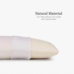 ELuxury Standard Latex Foam Pillow With Cover -travel pillow shop 4936836 ALT2