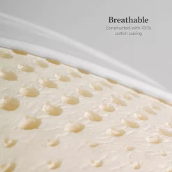 ELuxury Standard Latex Foam Pillow With Cover -travel pillow shop 4936836 ALT4