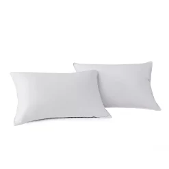 Kathy Ireland 2-pack Tencel Pillows