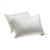 Living Healthy Products Living Health Products E-4-370PS-KING Supreme Plus 100% Gel Filled Pillows 370 Tc King Pillow - SET Of Two -travel pillow shop 5030662
