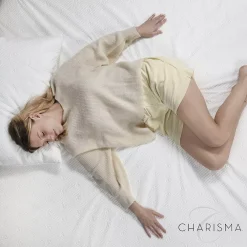 Charisma Luxury Protection Water Repellent And Stain Resistant Mattress Protector -travel pillow shop 5140359 ALT5