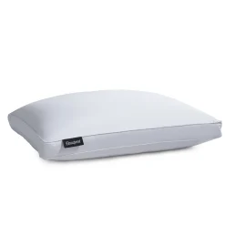 Beautyrest European White Goose Down Pillow