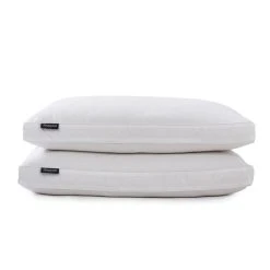 Beautyrest White Feather & Down 2-Pack Pillows