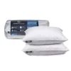 Serta Decorative Medium Firm 2-pack Feather Pillow Insert -travel pillow shop 5273198
