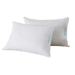 Waverly White Down Blend Pillow