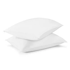 Healthy Home Proguard ®Antimicrobial Zippered Pillow Protector