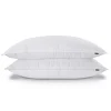 SO FLUFFY 230 Thread Count Feather 2-pack Pillow Set -travel pillow shop 5497591