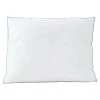 Lands' End Stomach Sleeper Pillow -travel pillow shop 5585261