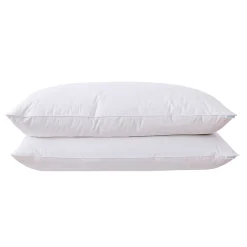 Firefly White Goose Nano Down Feather Blend 2-Piece Pillow Set