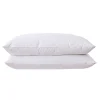 Firefly Feather & Down Pillow 2-piece Set -travel pillow shop 5914138