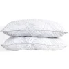 Down Home B Smith Traditional Pillow 2 Pack 1 Down Home B Smith Traditional Pillow 2 Pack -travel pillow shop 5918706