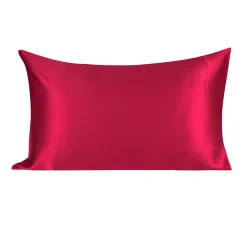 PiccoCasa 19 Momme Mulberry Silk Pillowcase For Hair And Skin Queen(20"x30")