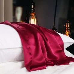 PiccoCasa 100% Pure Silk 19 Momme Pillow Cover Queen(20"x30") 7 PiccoCasa 100% Pure Silk 19 Momme Pillow Cover Queen(20"x30") -travel pillow shop 6174533 ALT