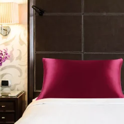 PiccoCasa 100% Pure Silk 19 Momme Pillow Cover Queen(20"x30") 8 PiccoCasa 100% Pure Silk 19 Momme Pillow Cover Queen(20"x30") -travel pillow shop 6174533 ALT2