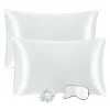 PiccoCasa Set Of 2 Soft Satin Silk Pillowcase Envelope Closure Standard 20"x26" -travel pillow shop 6239628 Light Gray