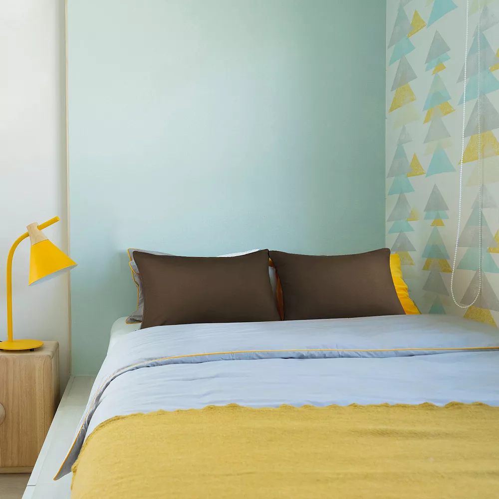 PiccoCasa 2 Pcs Zippered Soft Microfiber Pillow Cases Travel 14"x20" 4 PiccoCasa 2 Pcs Zippered Soft Microfiber Pillow Cases Travel 14"x20" - Image 2