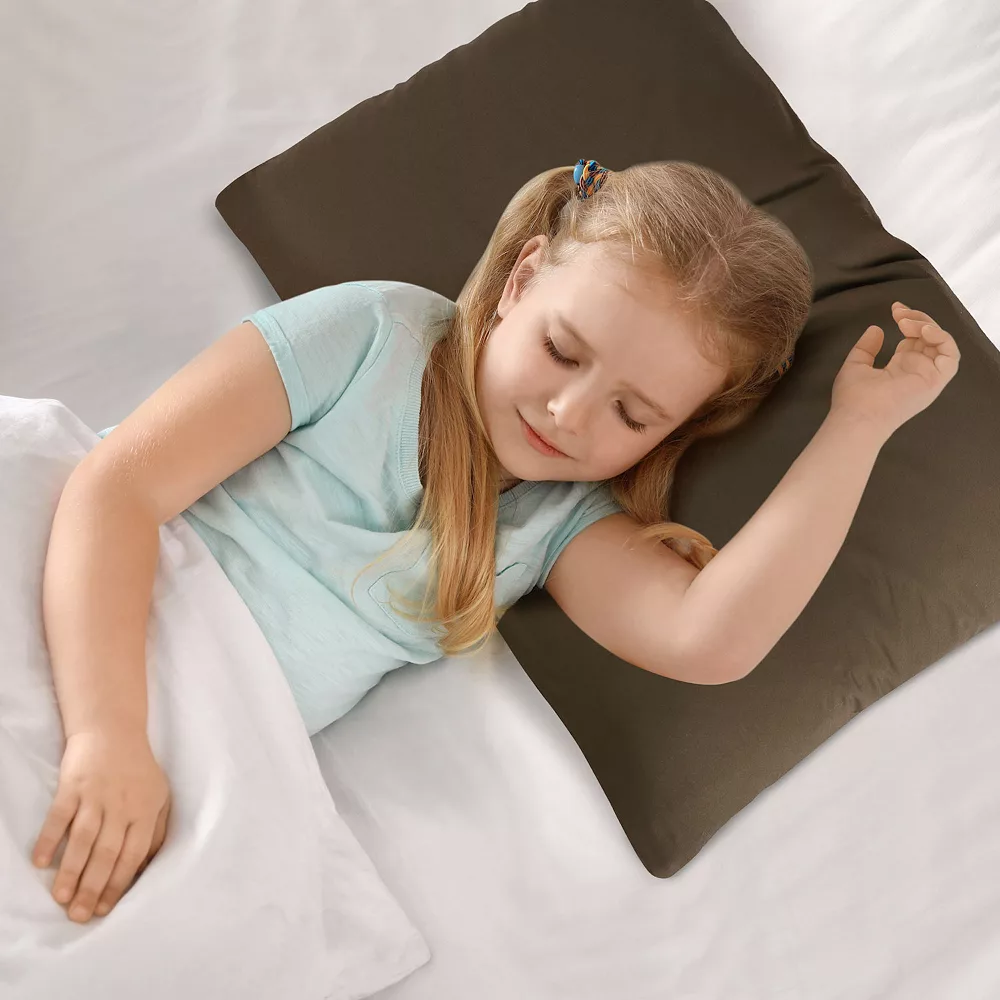 PiccoCasa 2 Pcs Zippered Soft Microfiber Pillow Cases Travel 14"x20" 6 PiccoCasa 2 Pcs Zippered Soft Microfiber Pillow Cases Travel 14"x20" - Image 4