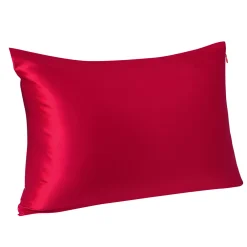 PiccoCasa 1 Piece 22 Momme Mulberry Silk Pillowcase Zippered Bed Pillow Cover King 20" X 36"