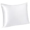 PiccoCasa 22 Momme Silk Pillowcase For Hair Skin Pillow With Zip Queen 20" X 30" 2 PiccoCasa 22 Momme Silk Pillowcase For Hair Skin Pillow With Zip Queen 20" X 30" -travel pillow shop 6257634 Snow White